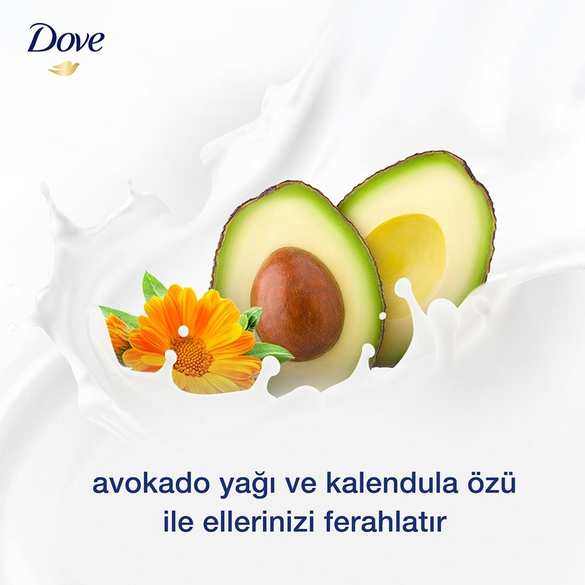 Dove Nemlendirici Sıvı Sabun Avokado Yağı Ve Kalendula Özü 450 Ml 12'li Koli resmi